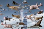AESF contemporary artist