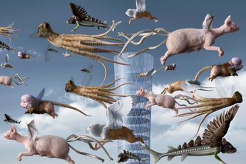 AESF contemporary artist