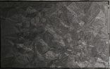 Lamelle 16 noire-positif by Nicolas Baier contemporary artwork Mixed Media