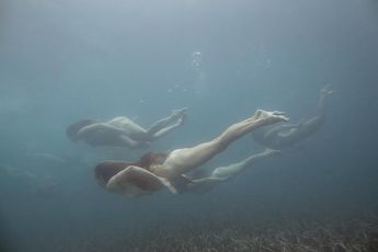 Contemporary art exhibition Tamara Dean Endangered at Martin Browne Contemporary Sydney Australia