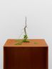 Root Inversion Mallow by Kelly Akashi contemporary artwork Sculpture