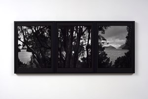 Mark Adams