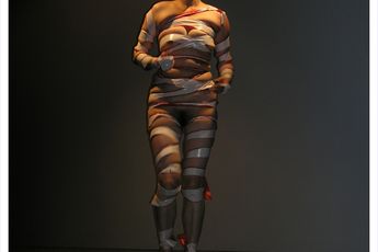 He Chengyao contemporary artist