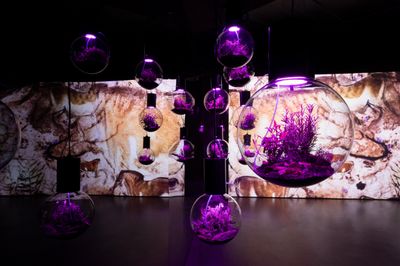 Hito Steyerl Reanimates Presentation Pulled From Documenta 15