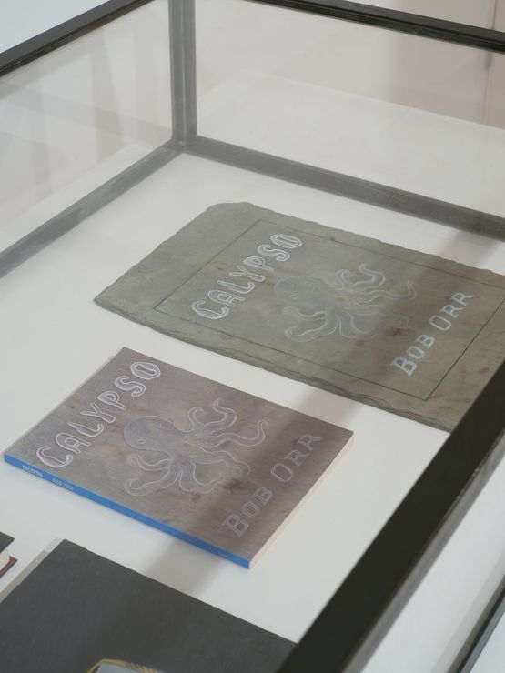 Vitrine Book Cover AUP Auckland University Press by Denis OConnor contemporary artwork Sculpture