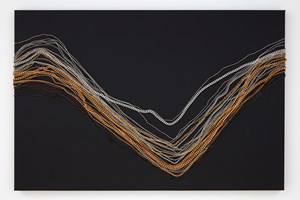 Judy Darragh
