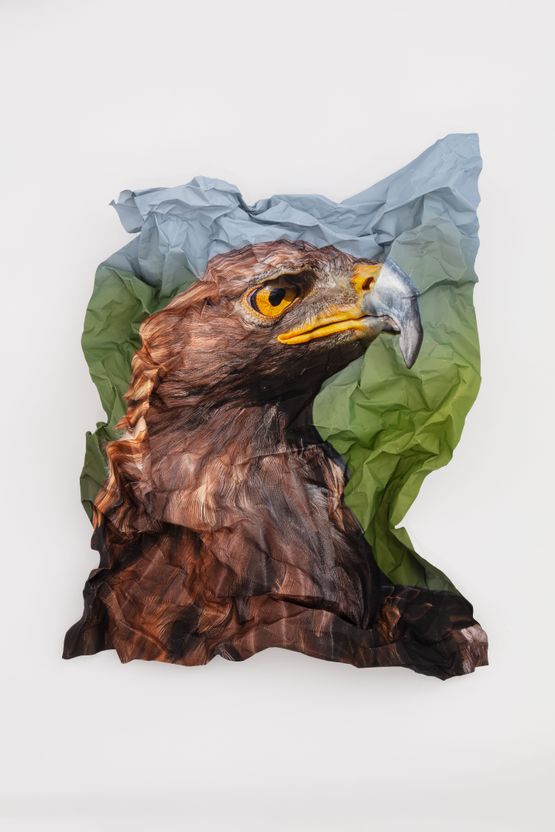 British Birds of Prey Golden Eagle by Marcus Coates contemporary artwork Painting
