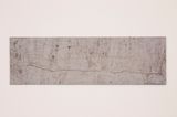French Anatomy by Jimmie Durham contemporary artwork mixed media painting sculpture