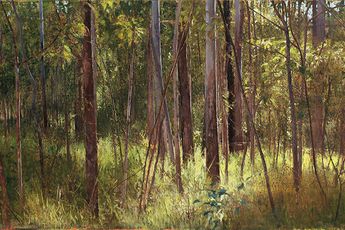 Contemporary art exhibition A.J. Taylor The Ground Beneath at Martin Browne Contemporary Sydney Australia