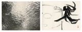 Autumn 43rd Climate Wild Geese Arrive by Chu Chu contemporary artwork photography works on paper