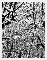 SNOW FOREST 002A by Farhad Moshiri contemporary artwork mixed media textile