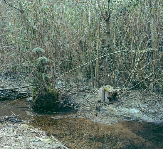 Trap set by Jeff Wall contemporary artwork Photography