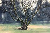 Withered tree 3 by Frank Kai-yiu Tang contemporary artwork works on paper