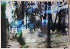 Flood by Matt Saunders contemporary artwork Photography