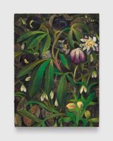 Snowdrops and hellebores by Louis Fratino contemporary artwork painting
