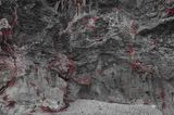 Fig. 25 by Robert Zhao Renhui contemporary artwork photography