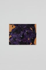 Dark Purple by Yuan Yuan contemporary artwork painting works on paper