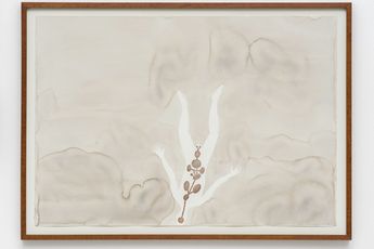 Alex Cerveny contemporary artist