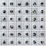 98CF 01-36 1998EKWC by Shen Fan contemporary artwork sculpture