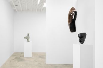 Contemporary art exhibition An Te Liu Low Fidelity at Anat Ebgi Mid Wilshire United States