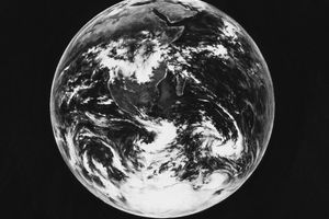 Robert Longo