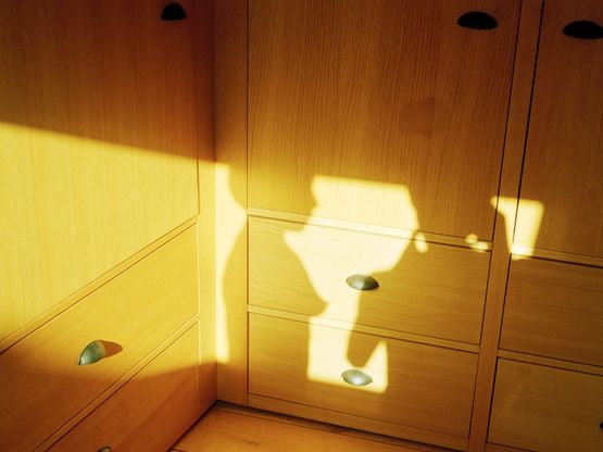 Shadows on the Wardrobe by Pixy Liao contemporary artwork Photography