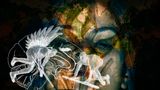 My hope is the last breath. My hope is the first battle. by Nalini Malani contemporary artwork print
