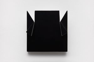 Lygia Pape