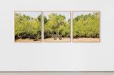 Close to the Wind by Monica De Miranda contemporary artwork print works on paper