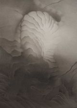 Tiger Changing by Shao Fan contemporary artwork drawing works on paper