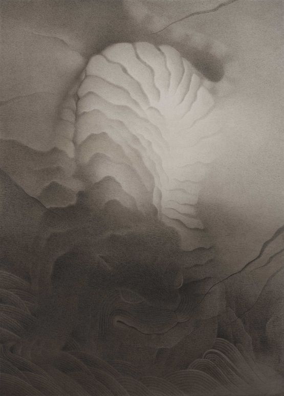 Tiger Changing by Fan Shao contemporary artwork Works on Paper