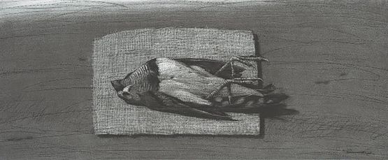 Oiseau by Youssef Abdelke contemporary artwork Works on Paper