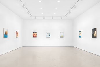 Contemporary art exhibition Emily Eveleth Twenty Paintings at Miles McEnery Gallery 520 West 21st Street New York United States