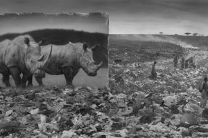 Nick Brandt