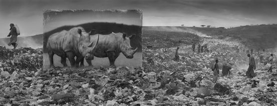 Wasteland with Rhinos Inherit The Dust Kenya by Nick Brandt contemporary artwork Photography