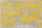 Winnie Mak contemporary artist