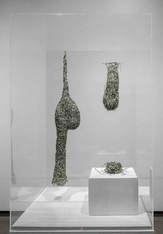 Nests from Tender by Fiona Hall contemporary artwork Sculpture