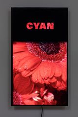 Colorvision Cyan by Diana Thater contemporary artwork installation moving image