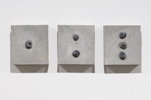 Julia Morison