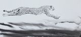 Wilderness by JY contemporary artwork drawing painting works on paper