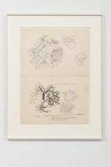 Untitled by Stefan Bertalan contemporary artwork drawing
