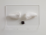 Clock Owner by Rosemarie Trockel contemporary artwork installation