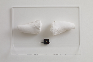 Rosemarie Trockel
