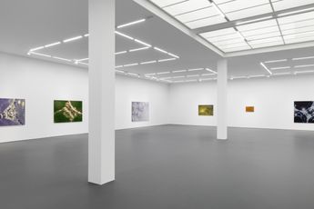 Contemporary art exhibition Tauba Auerbach Easy Assembly at Esther Schipper Esther Schipper Berlin Germany
