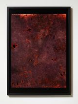 Observations from the Critical Zone 5 by Anne Noble contemporary artwork print