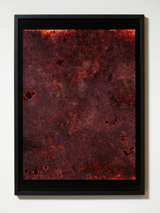Observations from the Critical Zone 5 by Anne Noble contemporary artwork Print