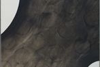 Hideko Fukushima contemporary artist