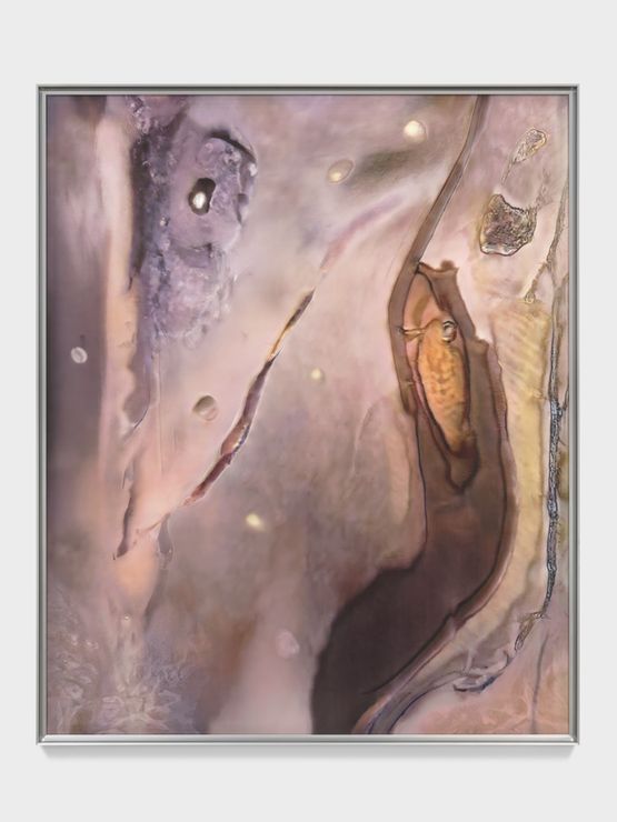 LMFnRn by Anicka Yi contemporary artwork Painting