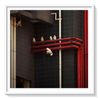 Cockatoos in Transit Hong Kong by Romain Jacquet-Lagreze contemporary artwork Photography