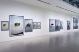 Indoor Sculptures Vienna   by Erwin Wurm contemporary artwork print